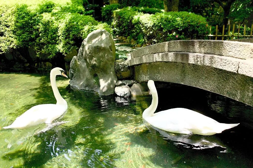 ホテルKokusai 京都市 ホテル
